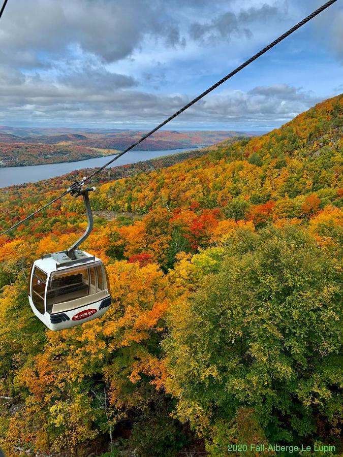 Auberge Le Lupin-Self Check-In Mont-Tremblant Exterior foto